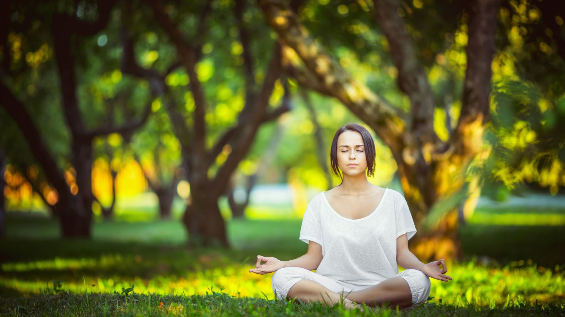 赛道即沙场，当马里战象在银石碰撞威尔士长弓